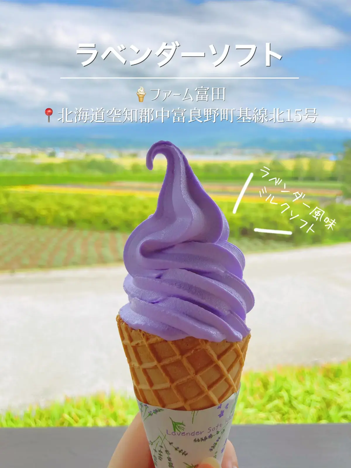 富良野スイーツ巡り ラベンダー チーズ メロンのソフトクリームたち Imoyakoが投稿したフォトブック Lemon8