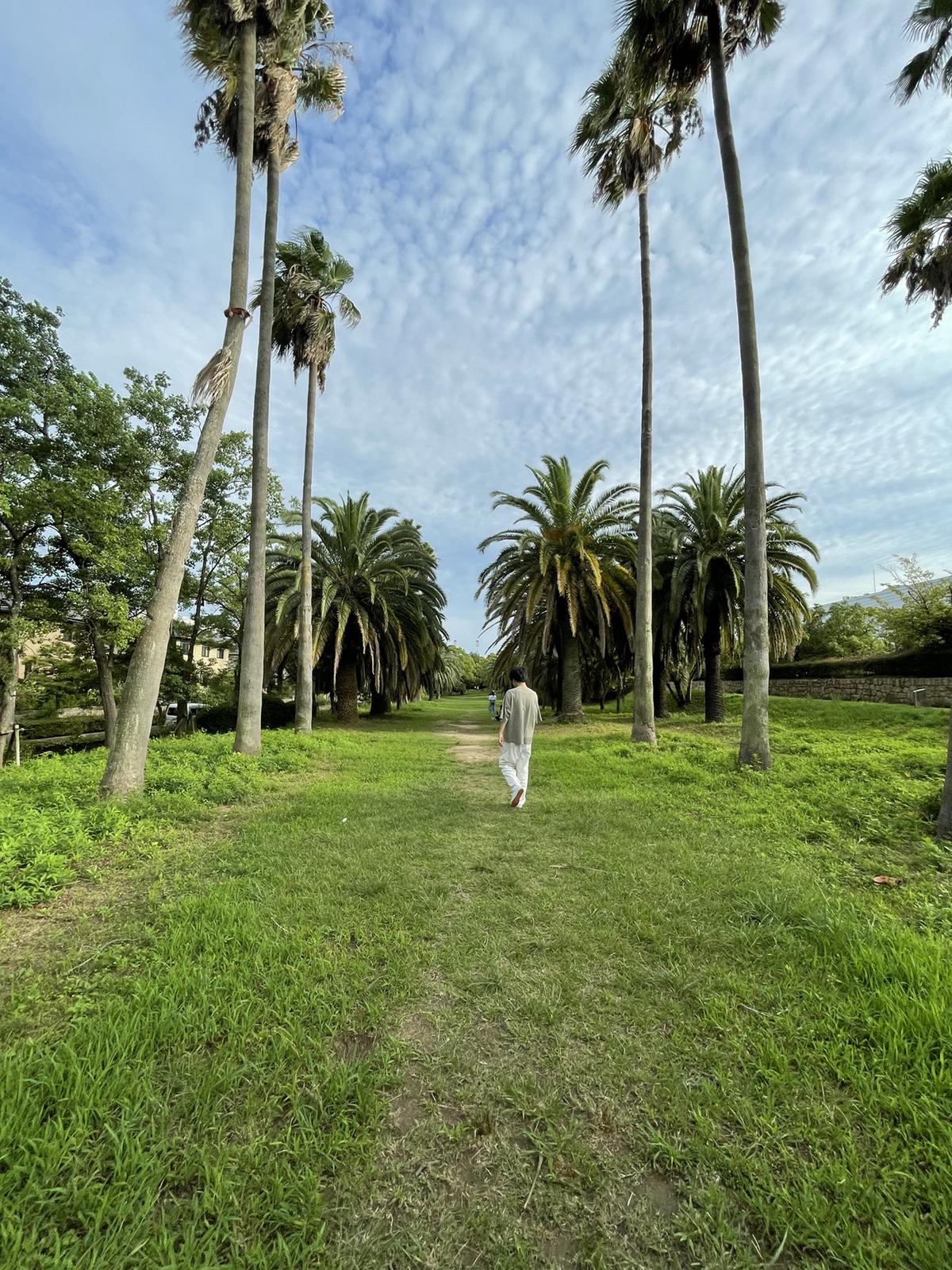 ハワイ公園 オシャレな写真スポット ピクニックにもオススメ Chi Roが投稿したフォトブック Lemon8