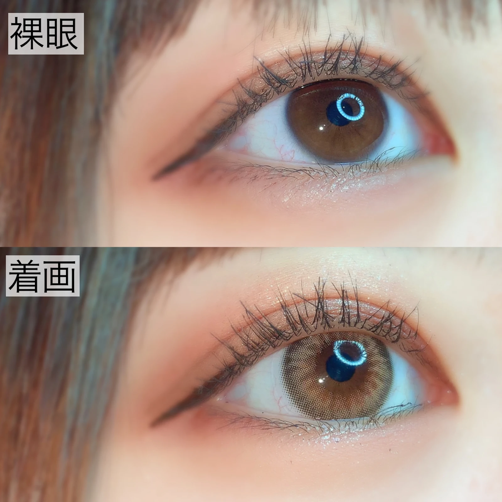 ひまわりカラコン ゆっちゃんが投稿したフォトブック Lemon8