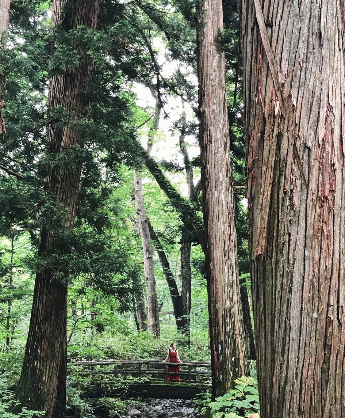 神様のいる戸隠神社の秘密 長野県 Sayaka Odekakeが投稿したフォトブック Sharee