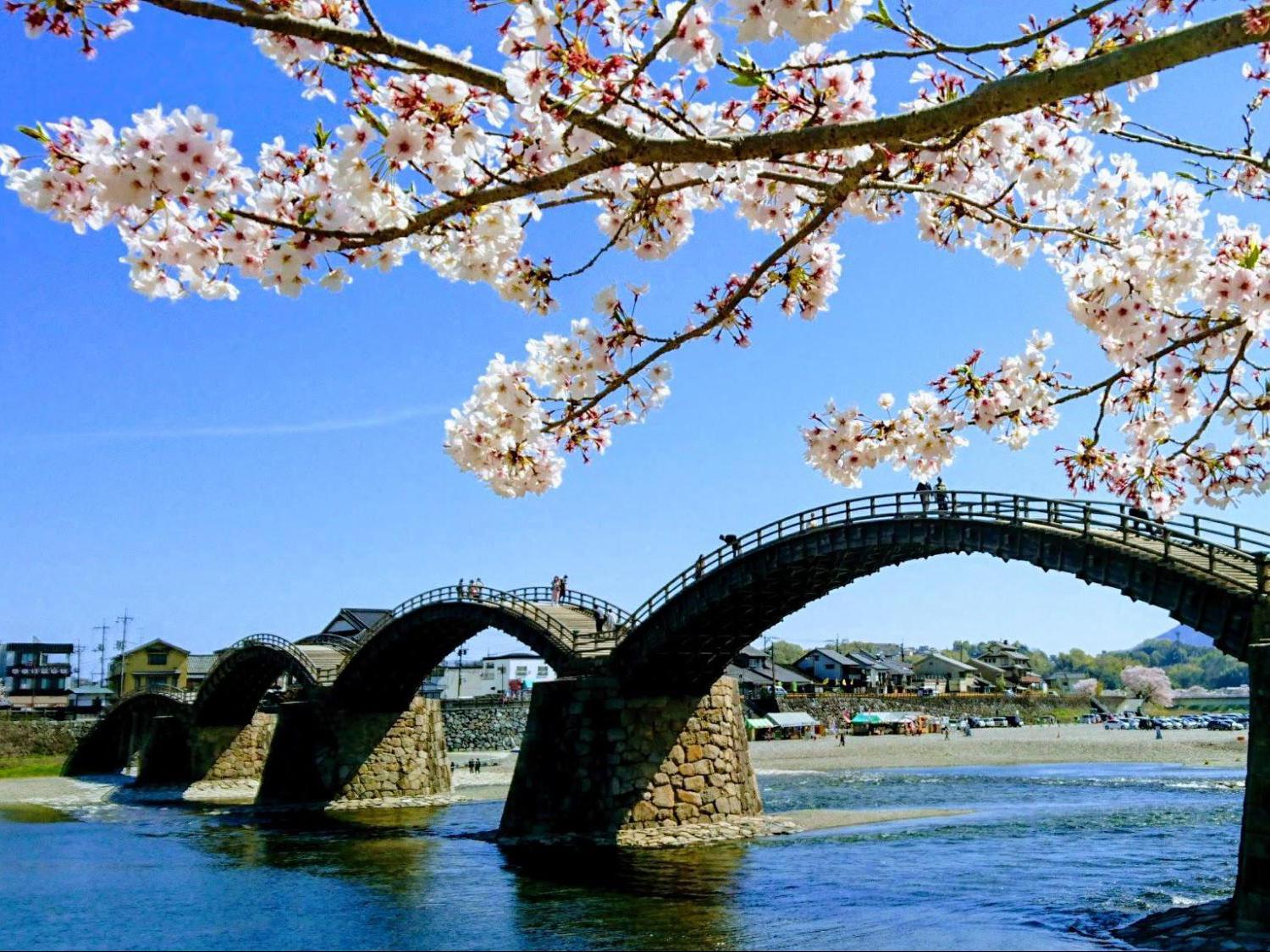 日本三名橋の一つ 錦帯橋 を眺めながら 触れながら ゆっくりのんびり散歩はいかがですか ぴいいいいが投稿した記事 Sharee