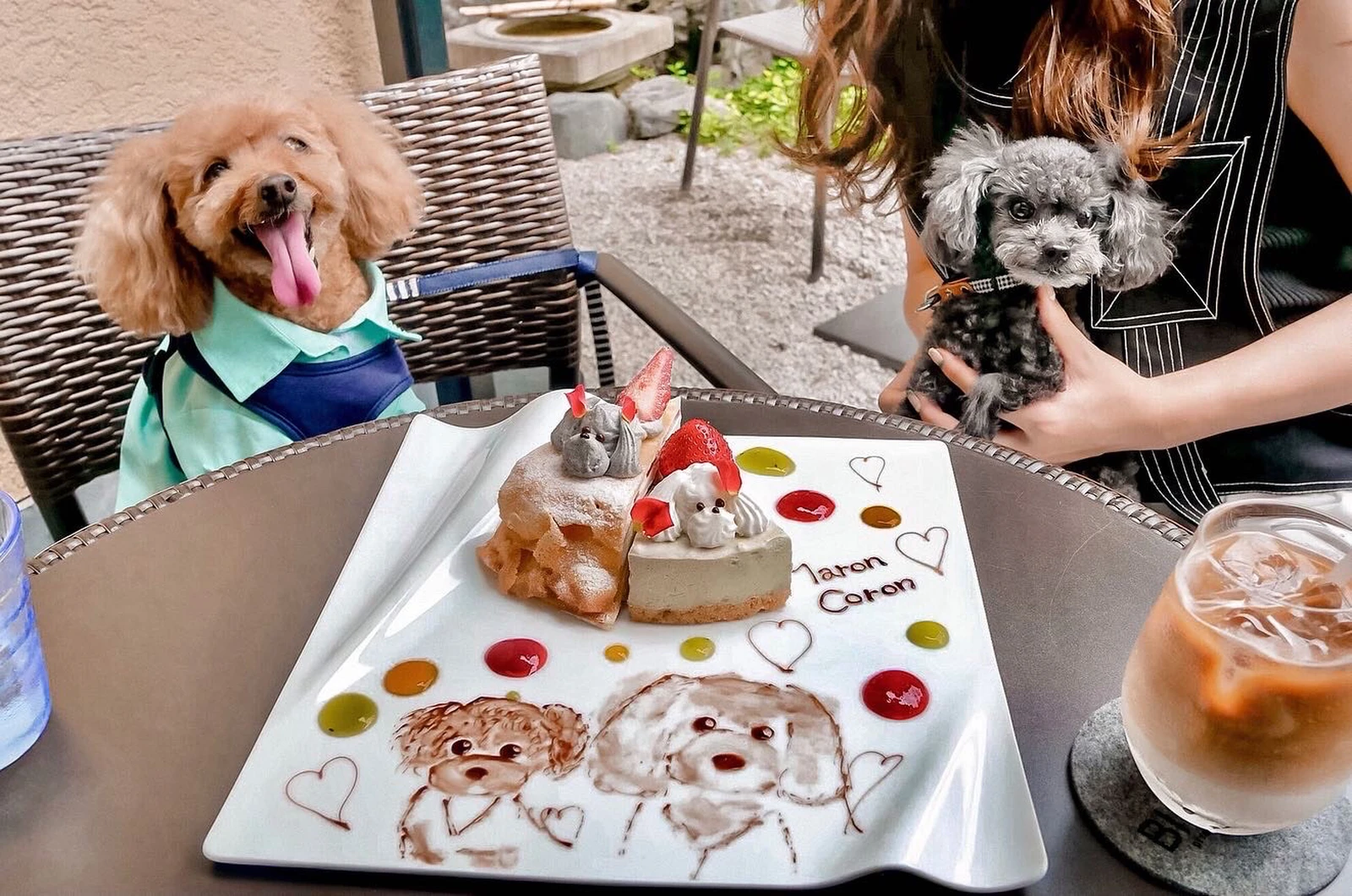 京都のペットokなピザ スイーツのお店 Mamianが投稿したフォトブック Lemon8