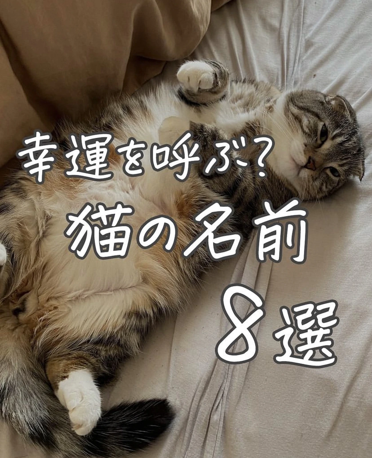 幸せの植物の名前 Lemon8