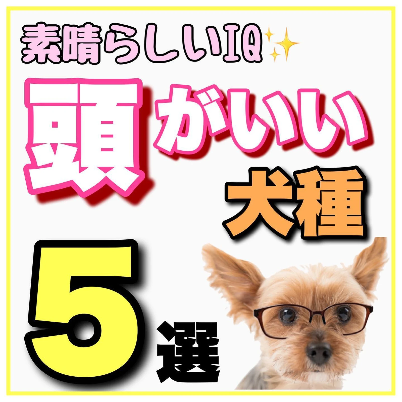 頭がいい犬種 全部知ってる Teddyわんこメディアが投稿したフォトブック Lemon8