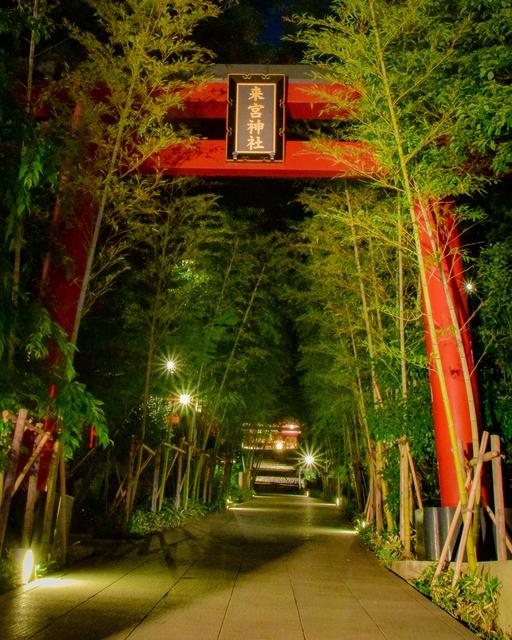 『静岡県』熱海のパワースポットと言えば、こちら💁‍♂️来宮神社⛩