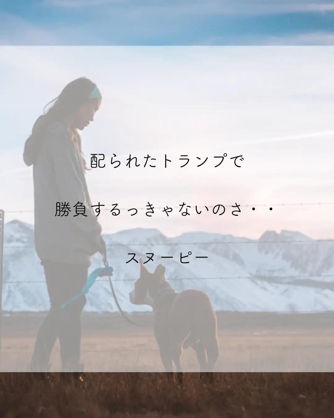 Lemon8 Story スヌーピー 名言 画像