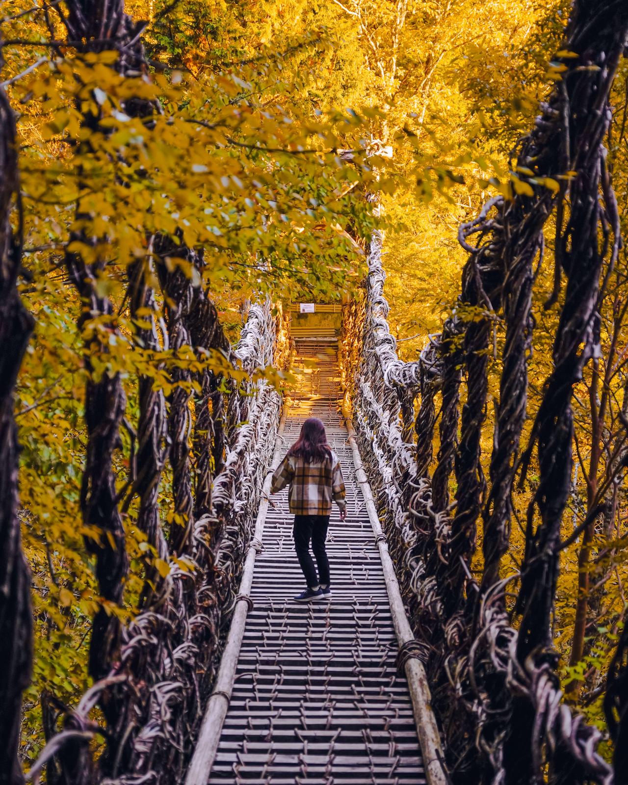 徳島 秋は紅葉も綺麗 もうひとつのかずら橋 Moe Matsuiが投稿したフォトブック Lemon8