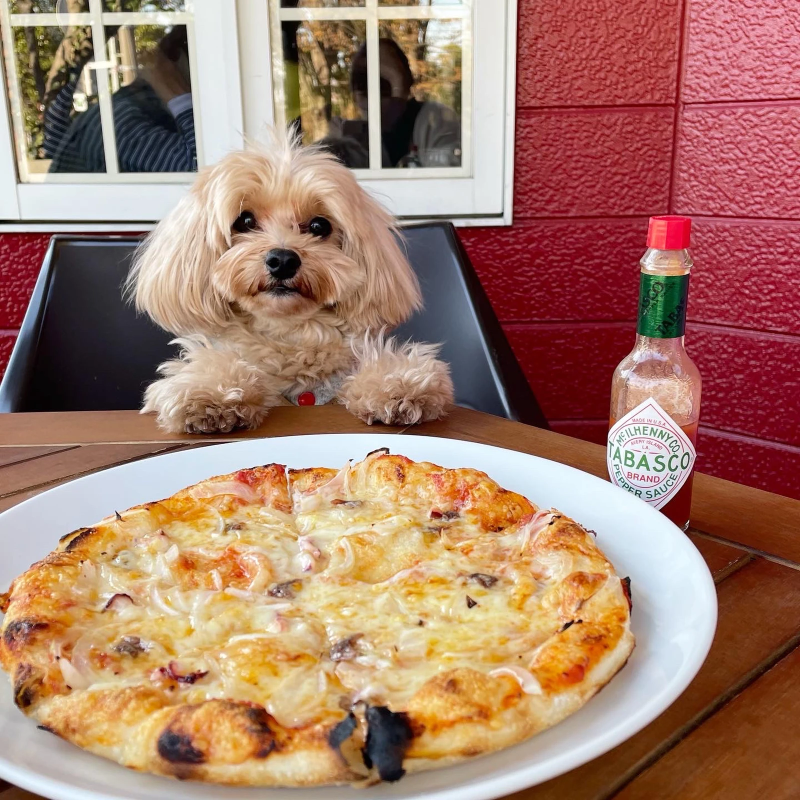 東京都 多摩市 カントリー調な外観が可愛いイタリアンレストラン マルプーまっしゅが投稿したフォトブック Lemon8
