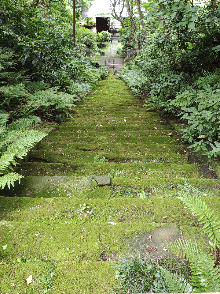 鎌倉の苔の寺 清水知己が投稿したフォトブック Sharee