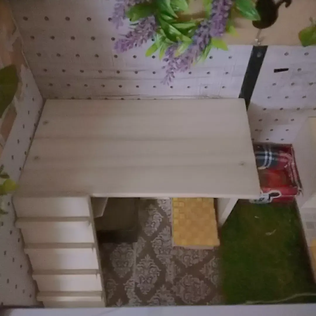 自作ハムスターロフト ハムママが投稿したフォトブック Lemon8