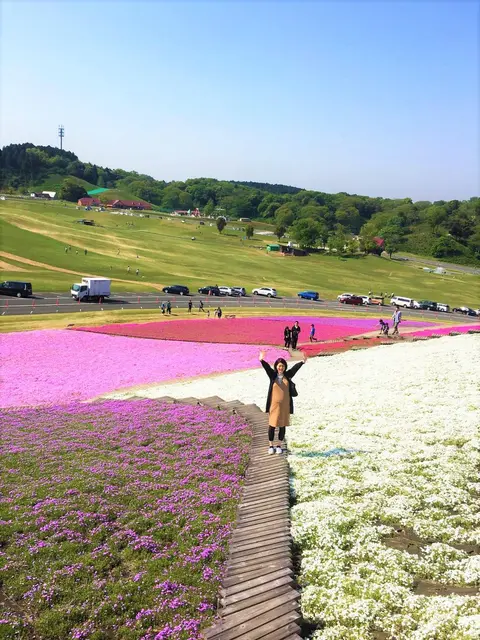 東京ドイツ村で芝桜＆茨城偕楽園で梅を鑑賞の画像 (1枚目)