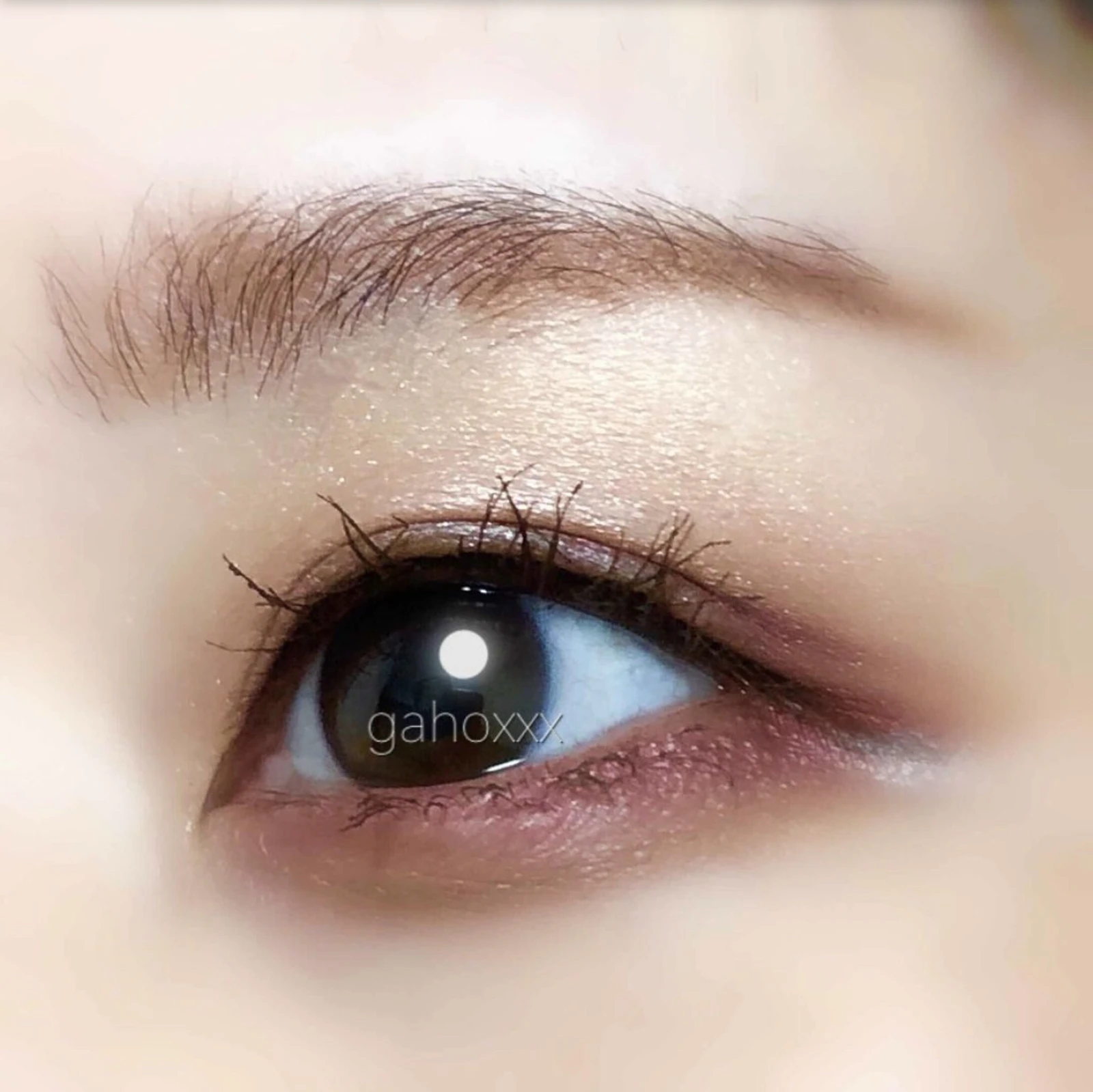 泣き腫らしウサギメイク うるうるピンクメイク Gahoが投稿したフォトブック Lemon8