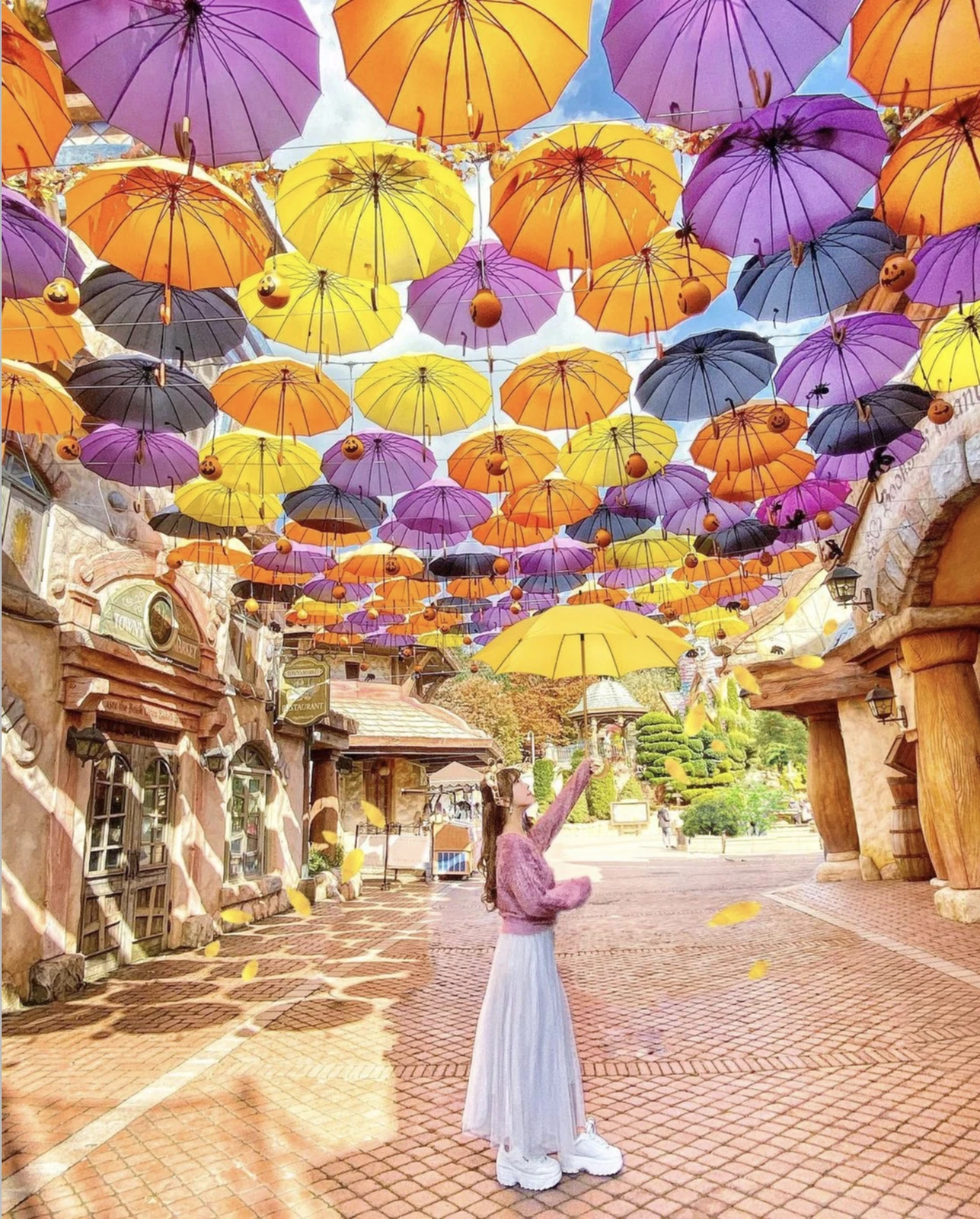 韓国旅行 紅葉シーズンにオススメスポット Sweets Nanoが投稿したフォトブック Lemon8