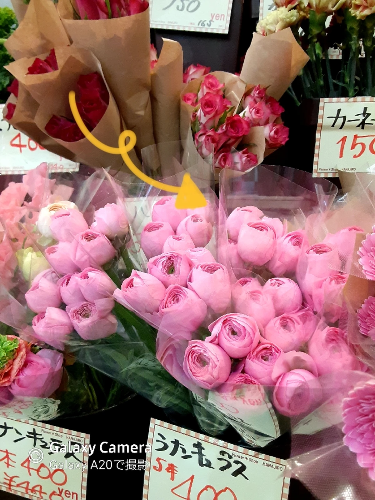 ラナンキュラス 花言葉 まさみ63が投稿したフォトブック Lemon8