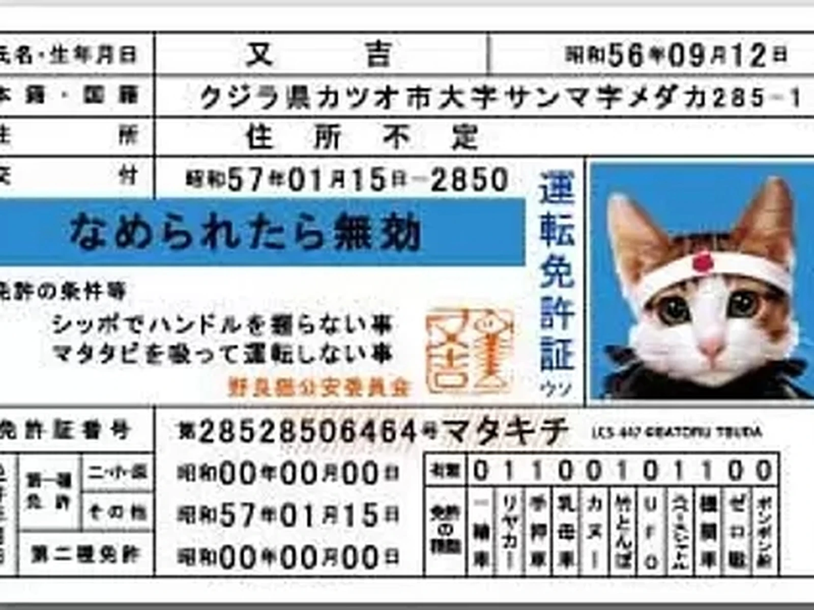 ビーバップや今日俺の前に可愛い不良猫が居たの覚えてる なつみん Triber0606が投稿したフォトブック Lemon8