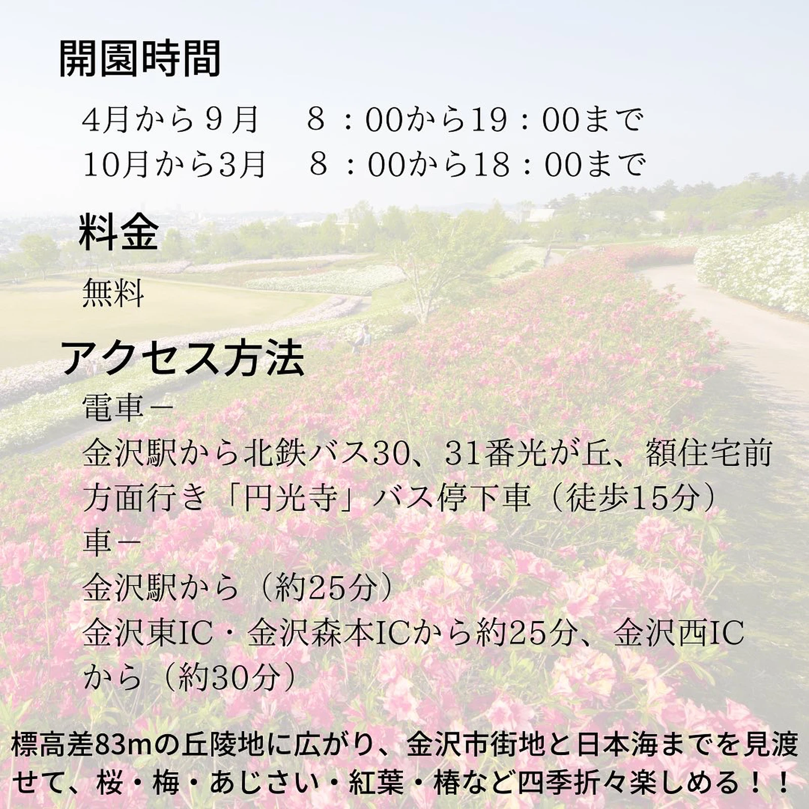 春こそ行くべき観光スポット石川3選 春夏秋冬 景色と体験 の旅が投稿したフォトブック Lemon8 春こそ行くべき観光スポット石川3選 春夏秋冬 景色と体験 の旅が投稿したフォトブック Lemon8