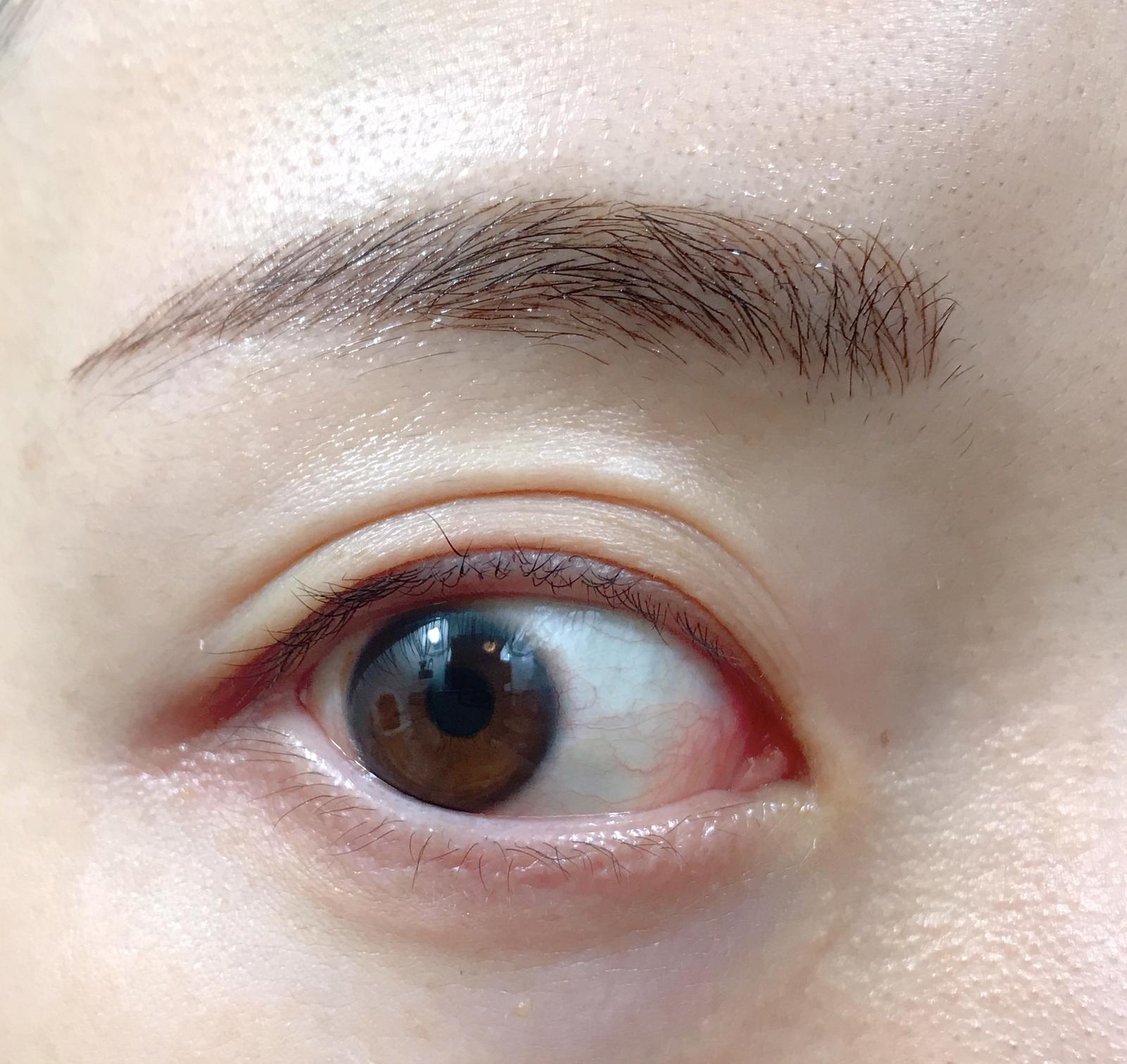 眉アートメイクを悩む方に 1週間レポート 笹口直子が投稿したフォトブック Sharee