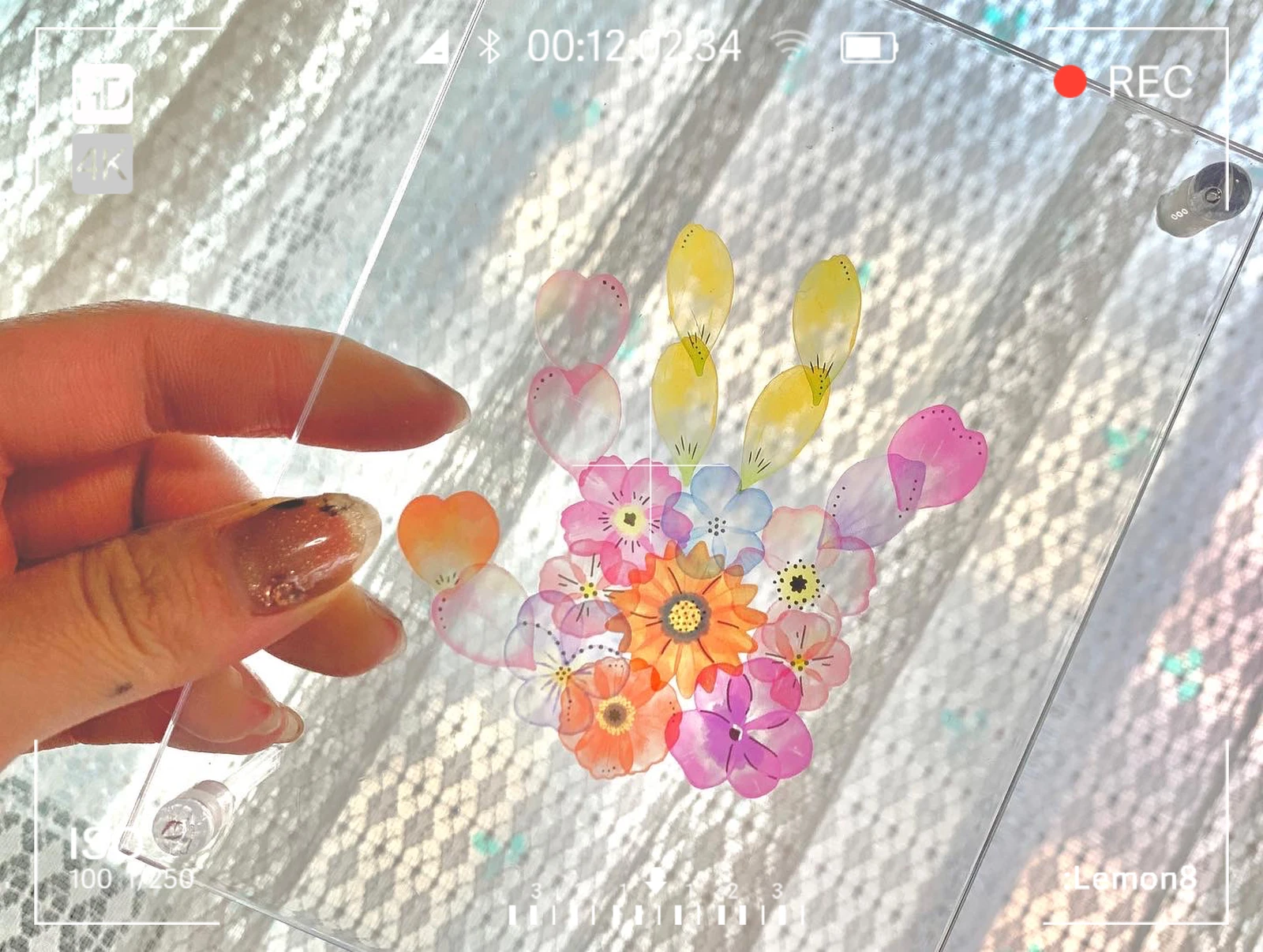 花びら手形 Momozi9312が投稿したフォトブック Lemon8