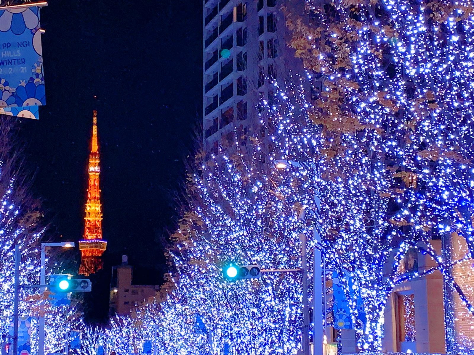 綺麗なイルミネーションと東京タワーのライトアップ 東京任女子が投稿したフォトブック Sharee