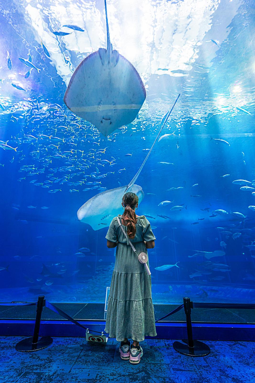 沖縄 本部町の日本一大きな水槽がある 美ら海水族館 沖縄観光おきりっぷokiripが投稿したフォトブック Sharee