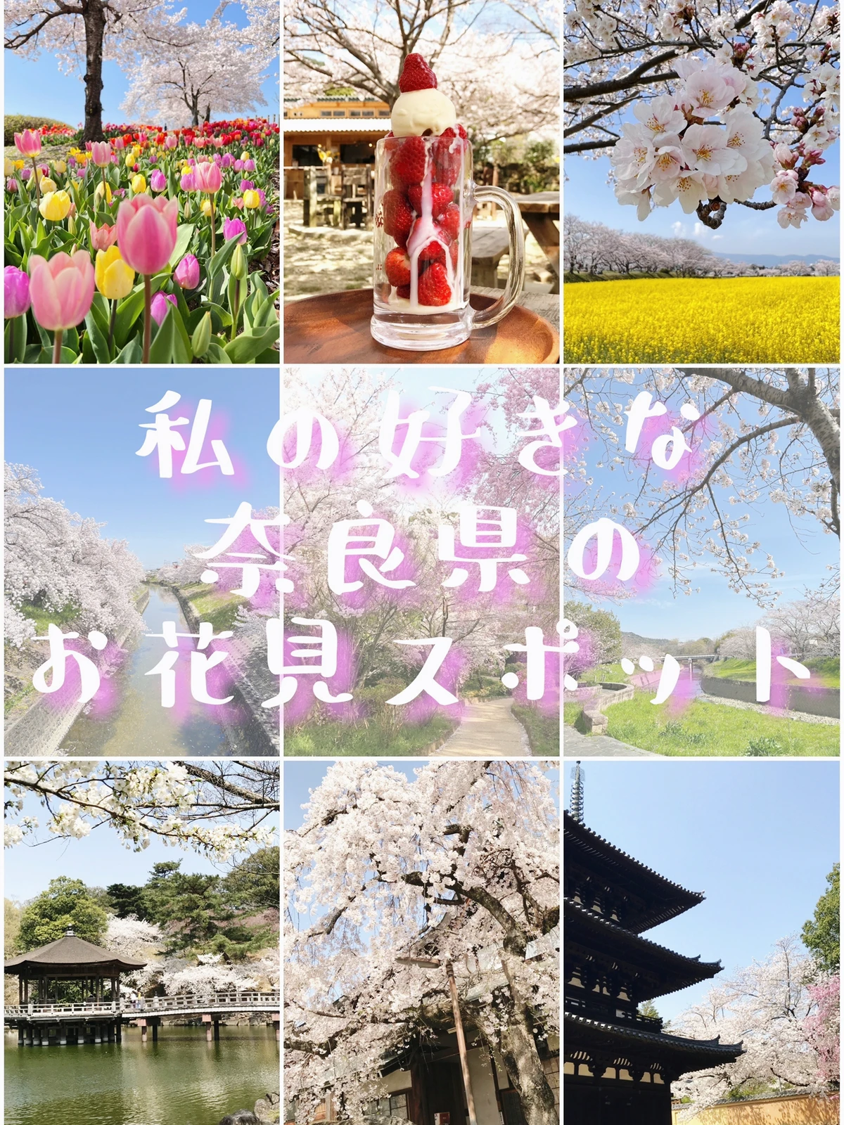 奈良 私の好きな奈良県のお花見スポット Ki I Ro が投稿したフォトブック Lemon8 奈良 私の好きな奈良県のお花見スポット Ki I Ro が投稿したフォトブック Lemon8