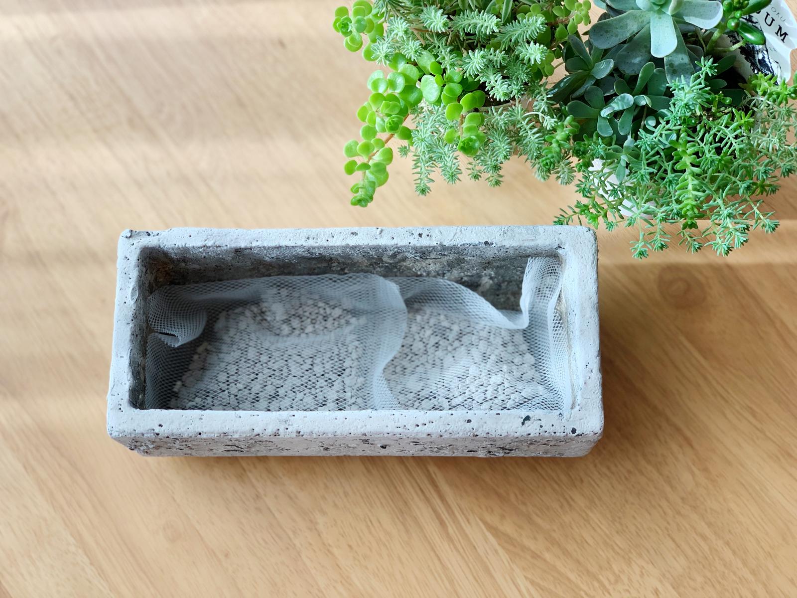 多肉植物の植え替え セダム Nezumiが投稿したフォトブック Lemon8