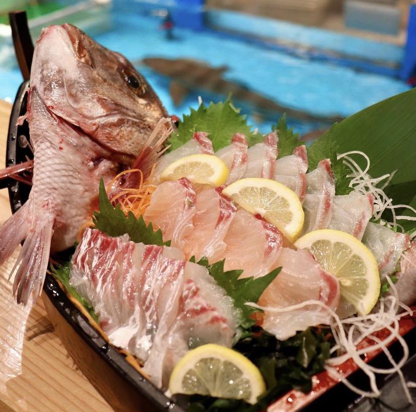タイや ヒラメ フグなど釣った魚を その場で調理してくれる 釣り お食事を一度に楽しめる居酒屋さん 西野トヲルが投稿したフォトブック Lemon8