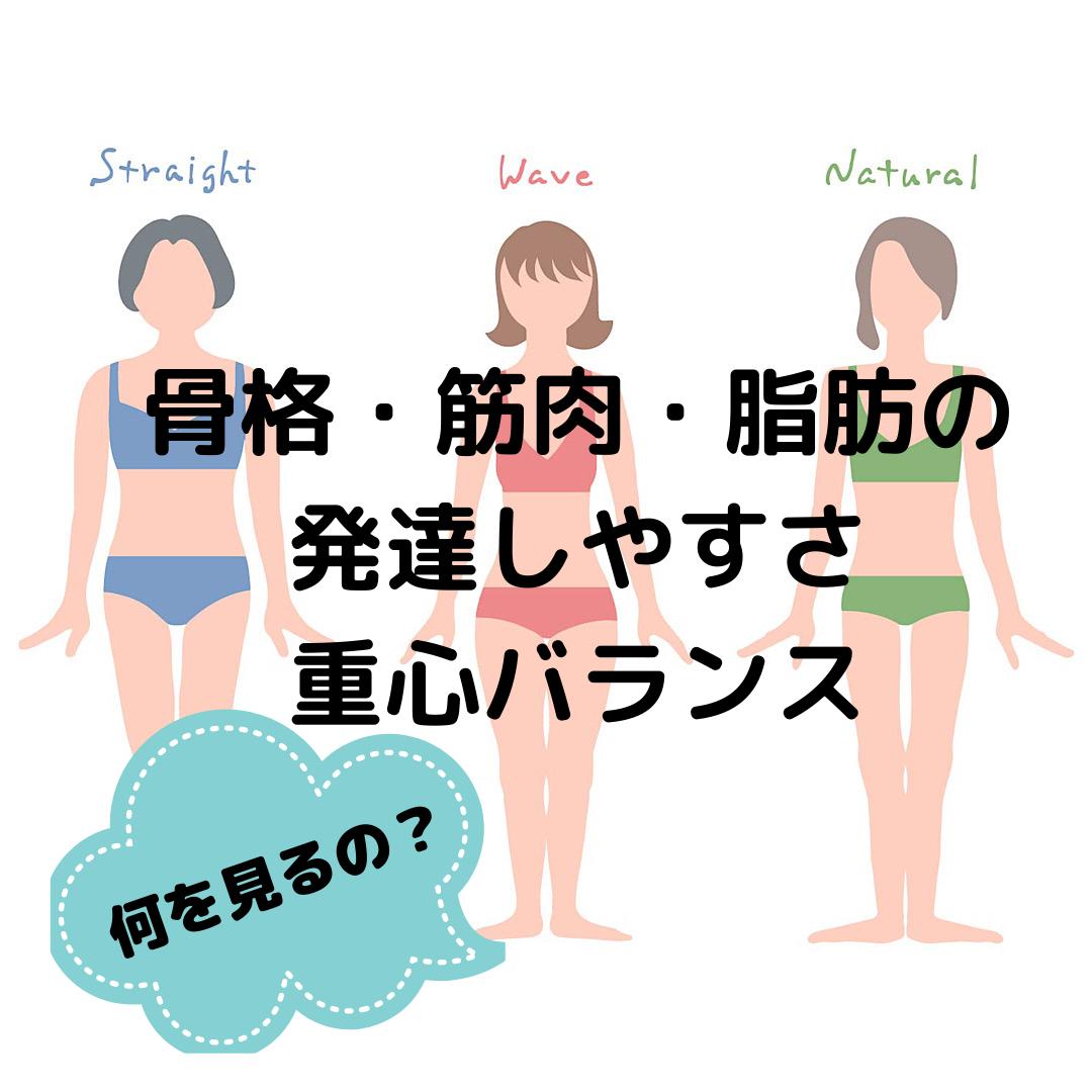 Lemon8 Story 骨格診断 太り方