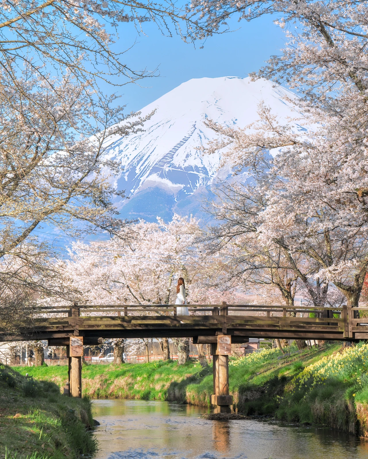 山梨県 富士山と桜の絶景スポット Kyoko1903が投稿したフォトブック Lemon8 山梨県 富士山と桜の絶景スポット Kyoko1903が投稿したフォトブック Lemon8