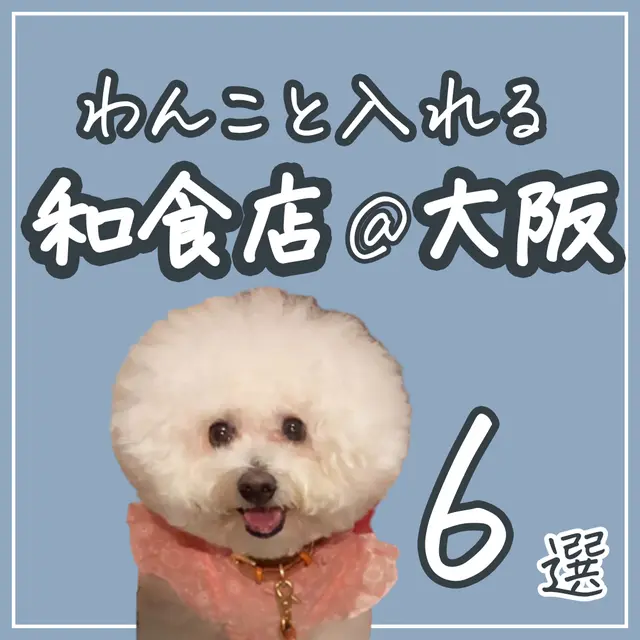 ペットとお出かけ関西 Lemon8 ペットとお出かけ関西 Lemon8