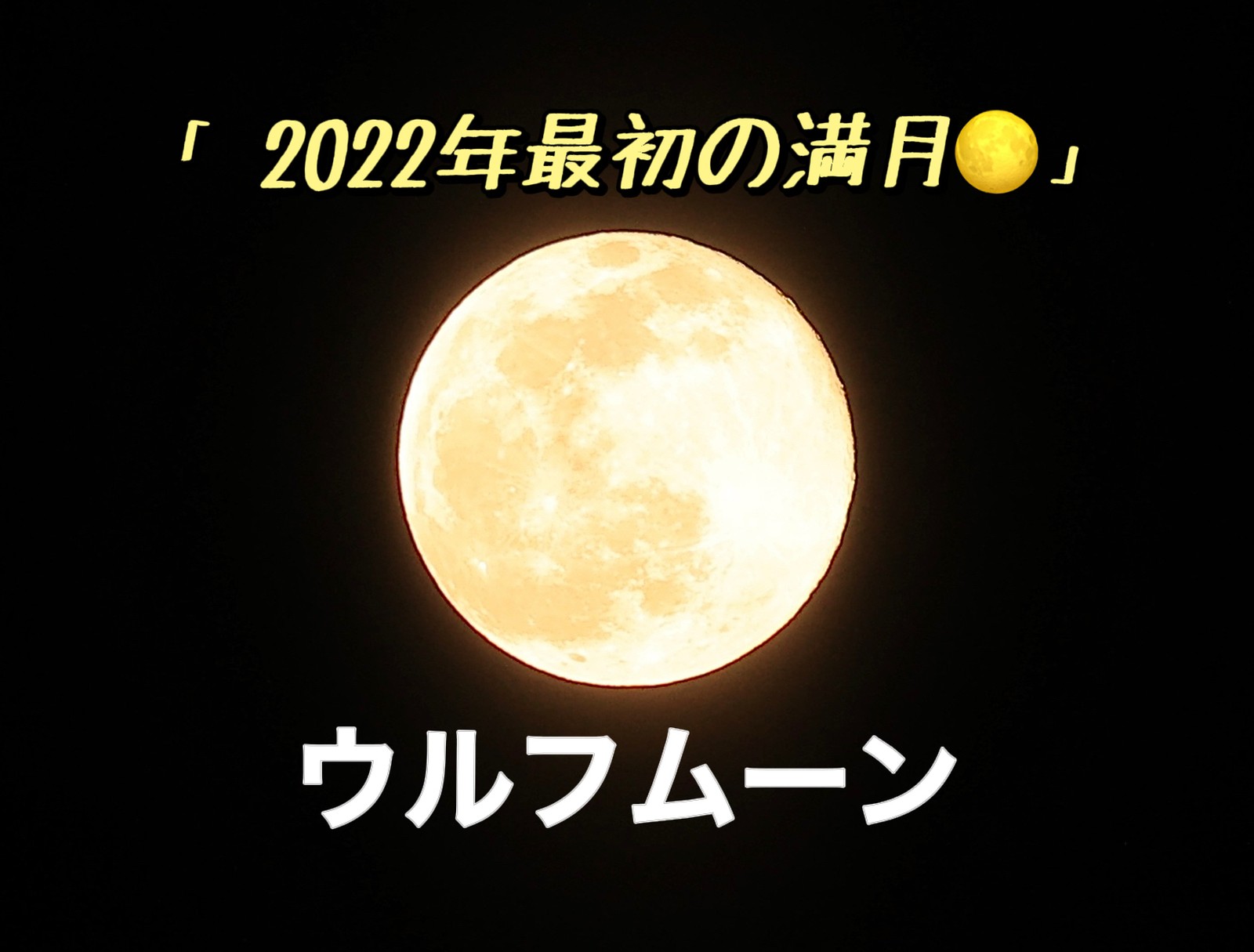 Lemon8 Story スノームーン22