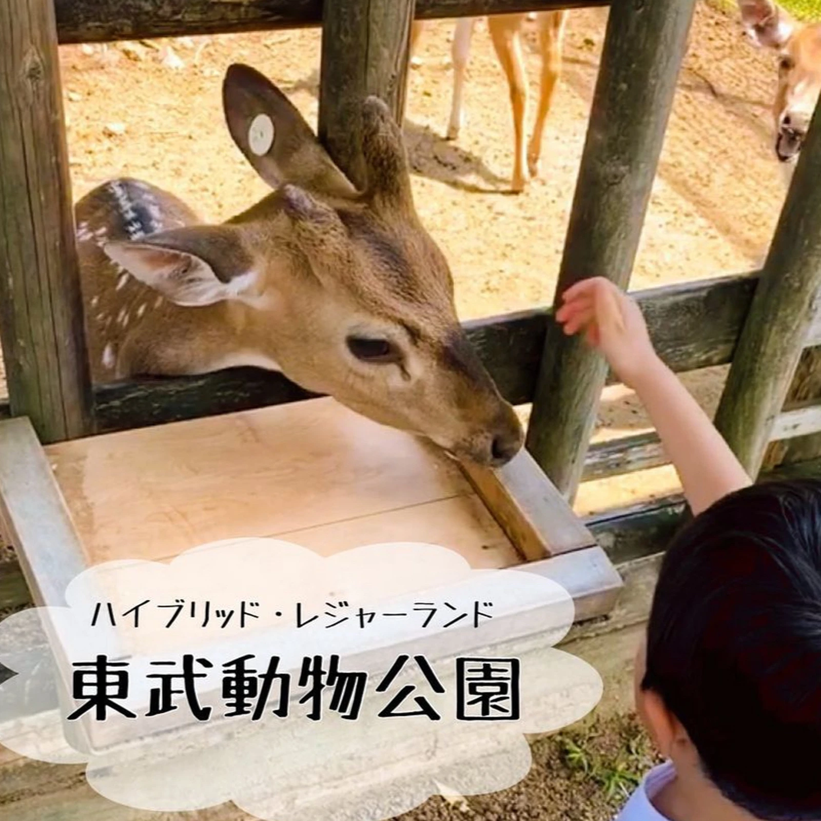 東武動物公園 Lemon8