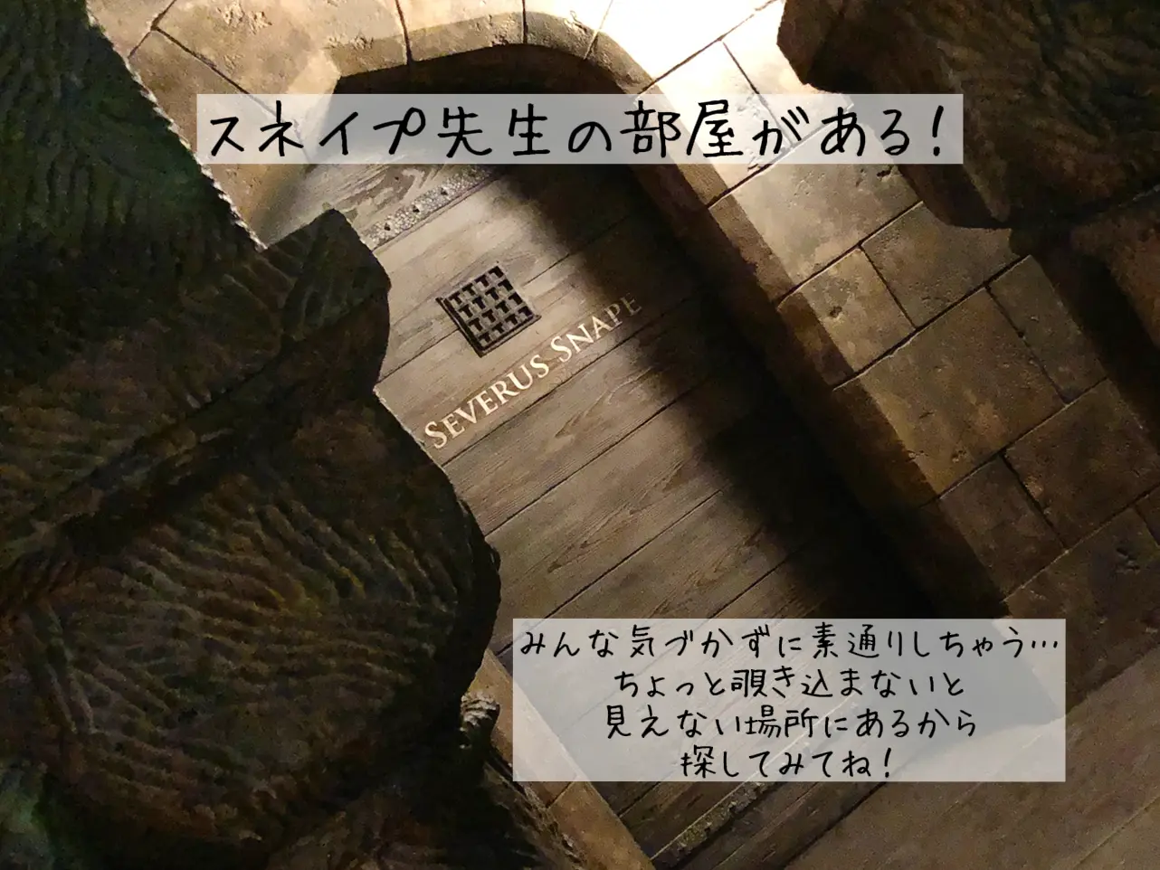 Usj ハリーポッターエリアの秘密 かぴばぁらが投稿したフォトブック Lemon8