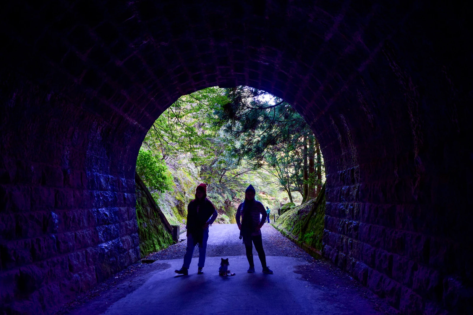 伊豆 あの有名な小説の舞台 天城トンネル Erika5ankoが投稿したフォトブック Lemon8