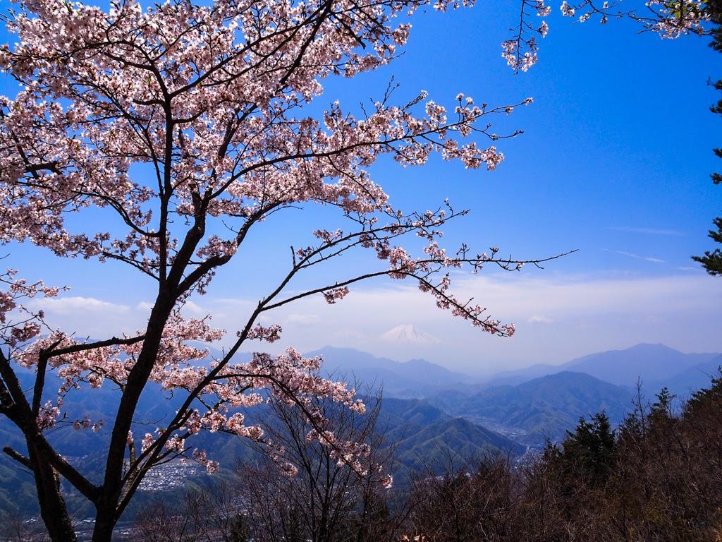 春は桜と富士山の景色が楽しめる百蔵山 人生は旅が投稿した記事 Sharee