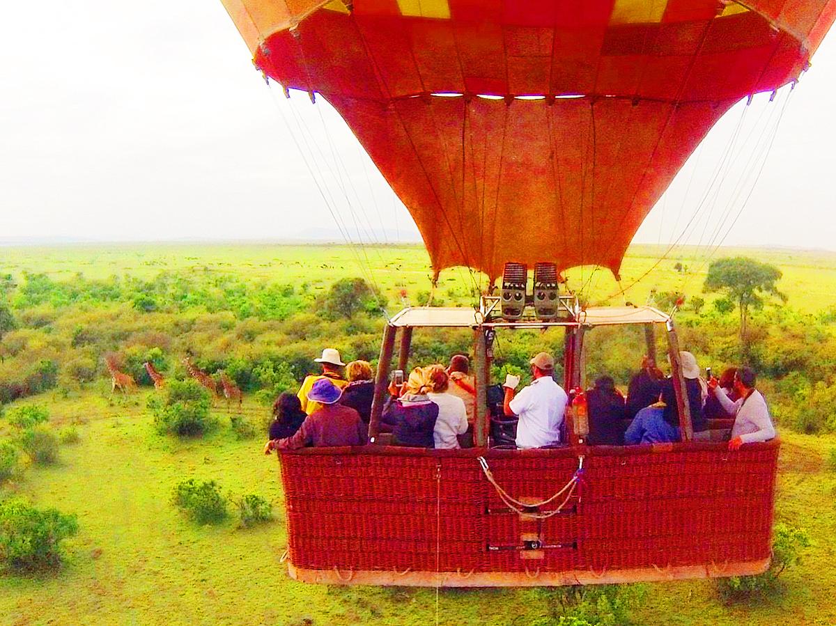 ケニア 空から楽しむライオンキングの世界 Kana 111が投稿した記事 Sharee