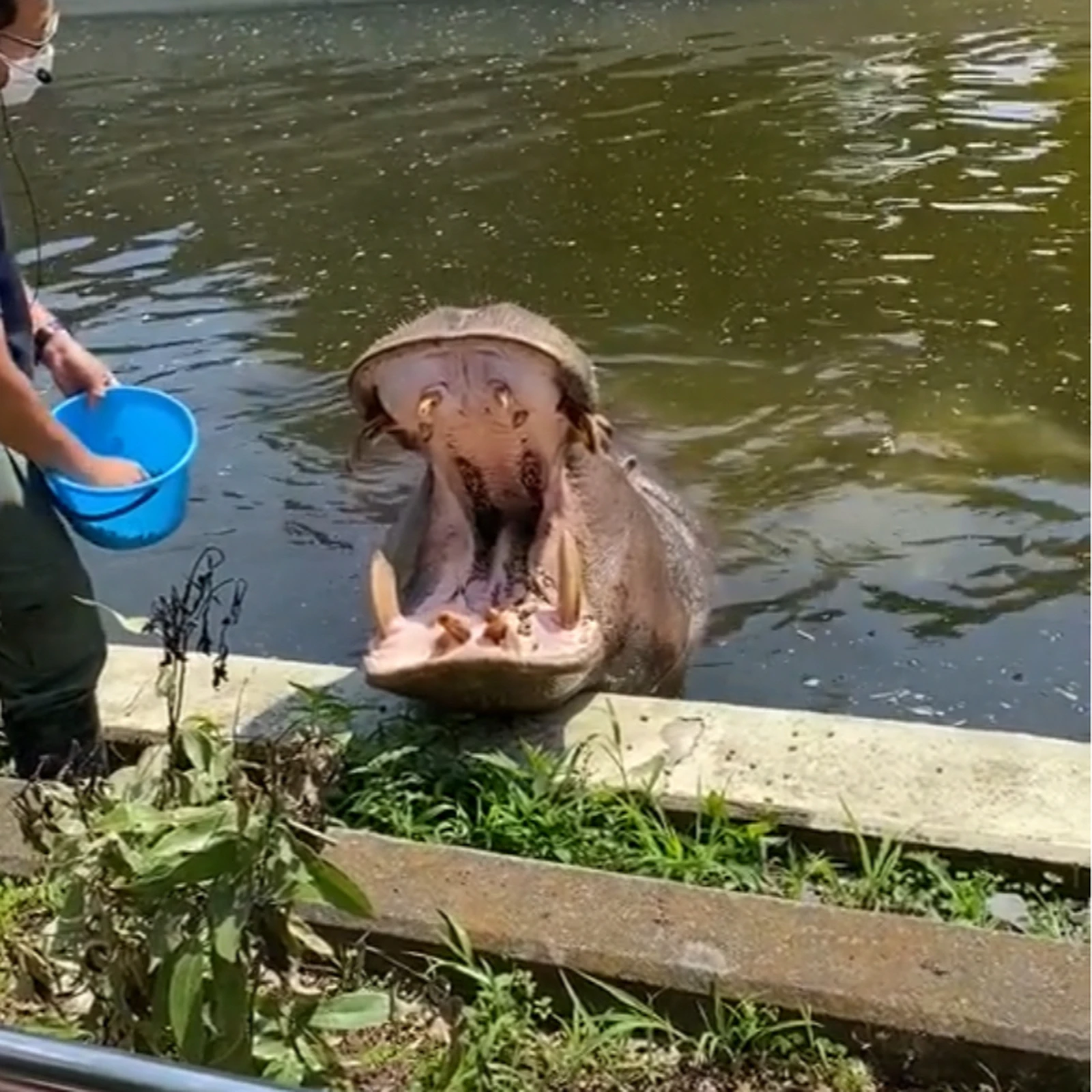 東武動物公園 おすすめルート Lemon8