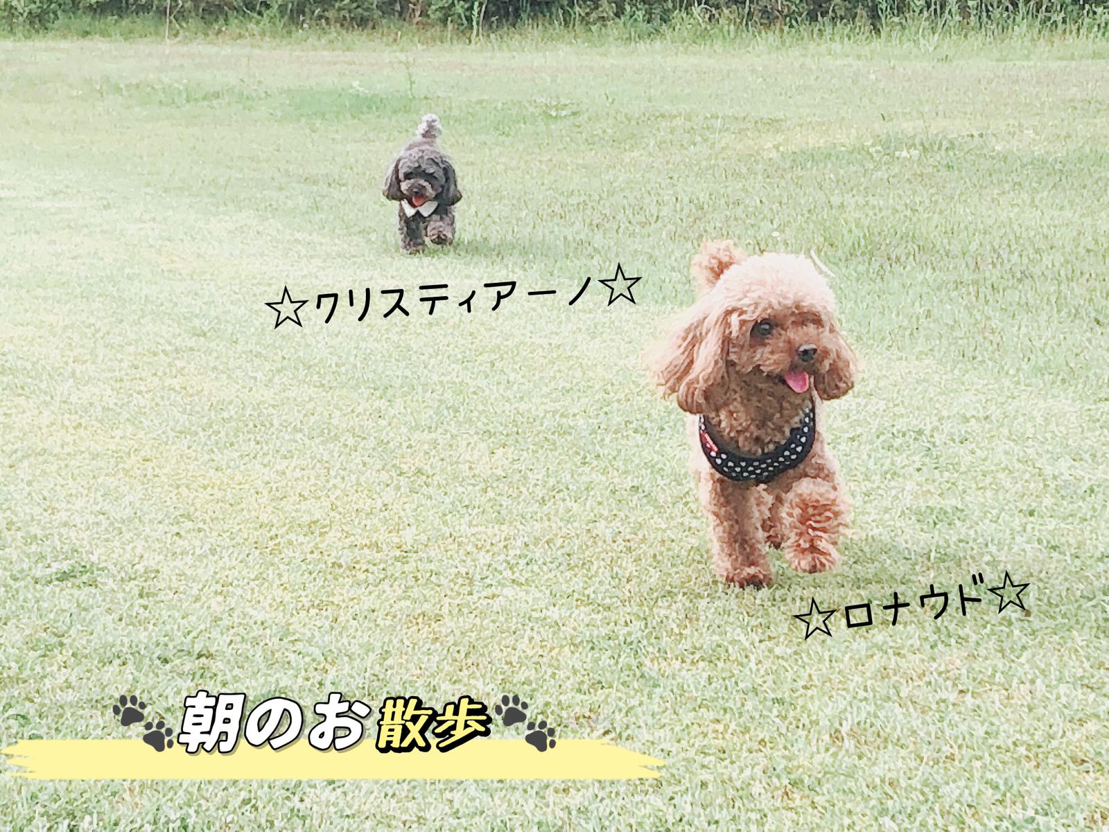 うちの子オーディション ゆぅcharmが投稿したフォトブック Sharee