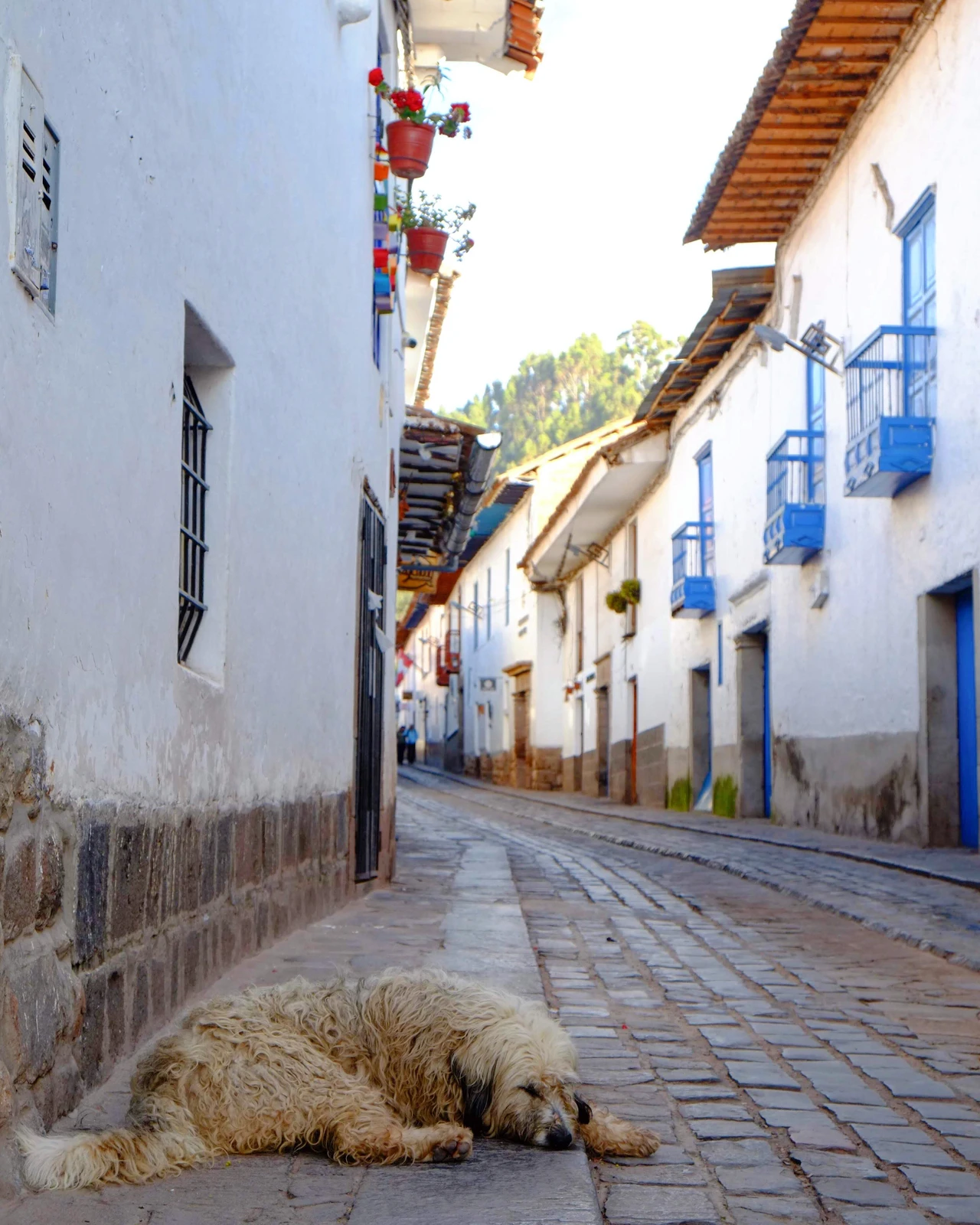 ペルー クスコ 路地歩き Konnyが投稿したフォトブック Lemon8