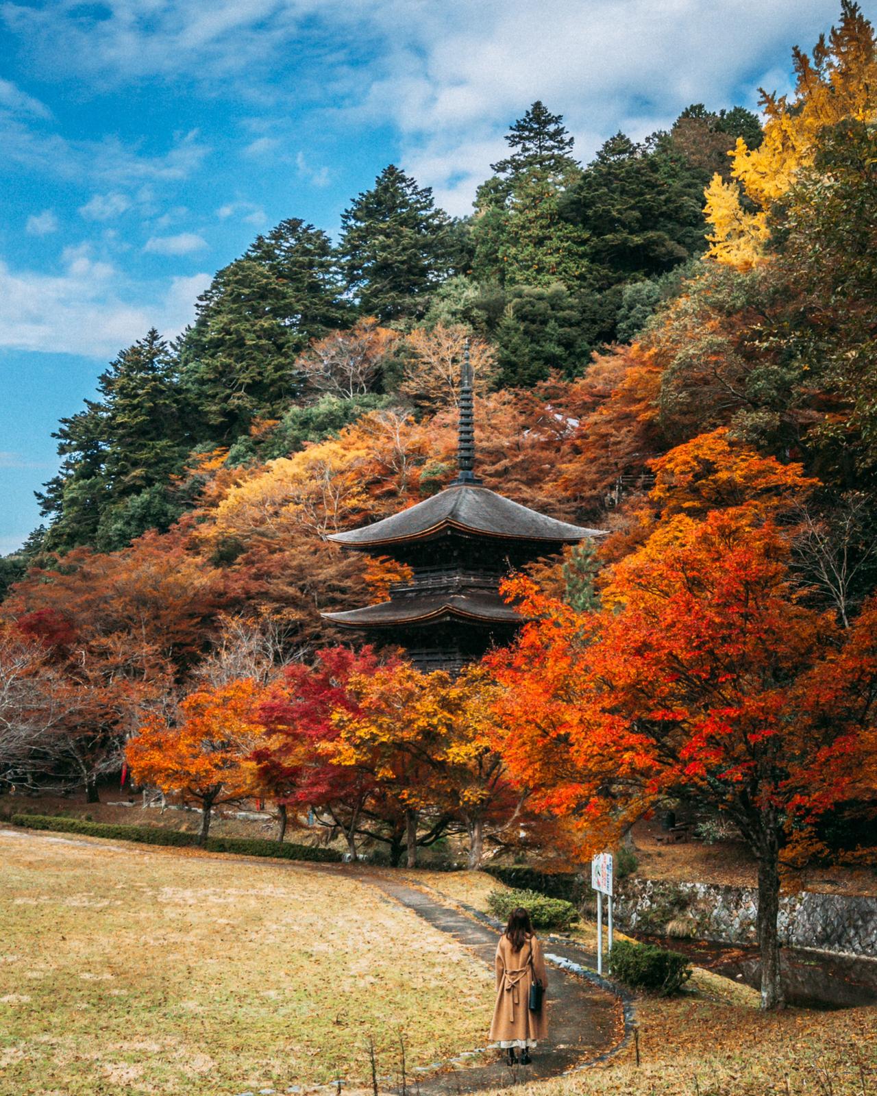 京都府舞鶴市 金剛院 紅葉 Yutaro Photo71が投稿したフォトブック Lemon8