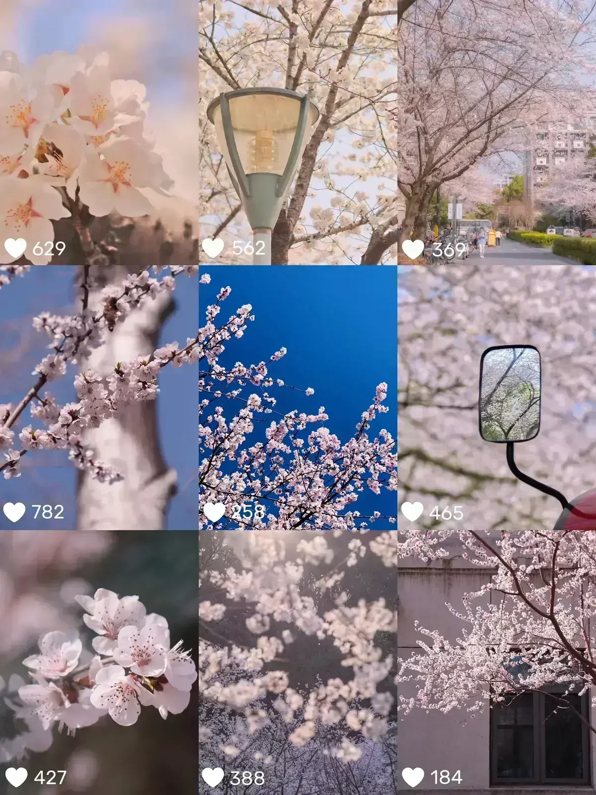 めっちゃ いいね の多い撮り方 構図をご紹介 Norakumaが投稿したフォトブック Lemon8