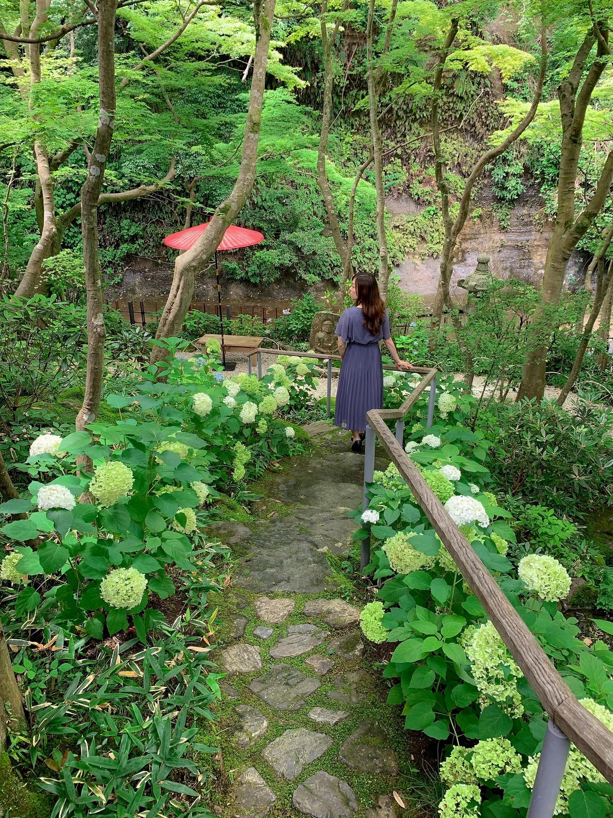 美しき花手水で人気の鎌倉の新名所 川越コウが投稿したフォトブック Lemon8