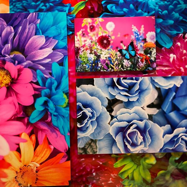 芸術の秋👨u200d🎨 蜷川実花展  yamaric0409が投稿したフォトブック  Lemon8