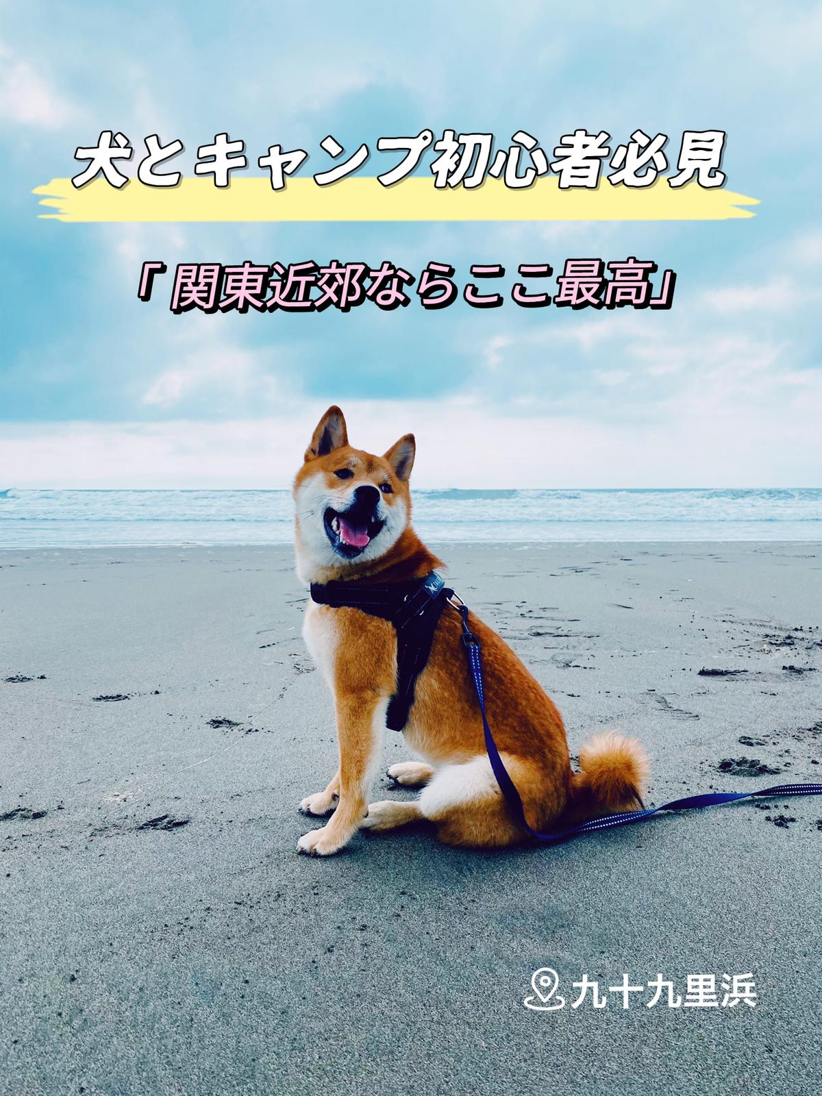 犬とキャンプ初心者必見 関東近郊ならここ最高 ピカママが投稿したフォトブック Lemon8