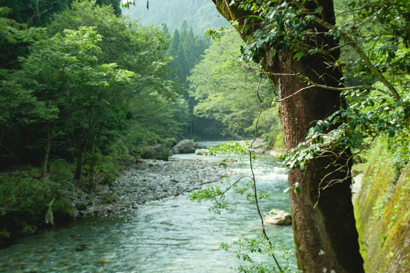 岐阜県 マイナスイオンたっぷりの透き通る美しい川に癒される デイキャンプ 旅キャンが投稿したフォトブック Lemon8