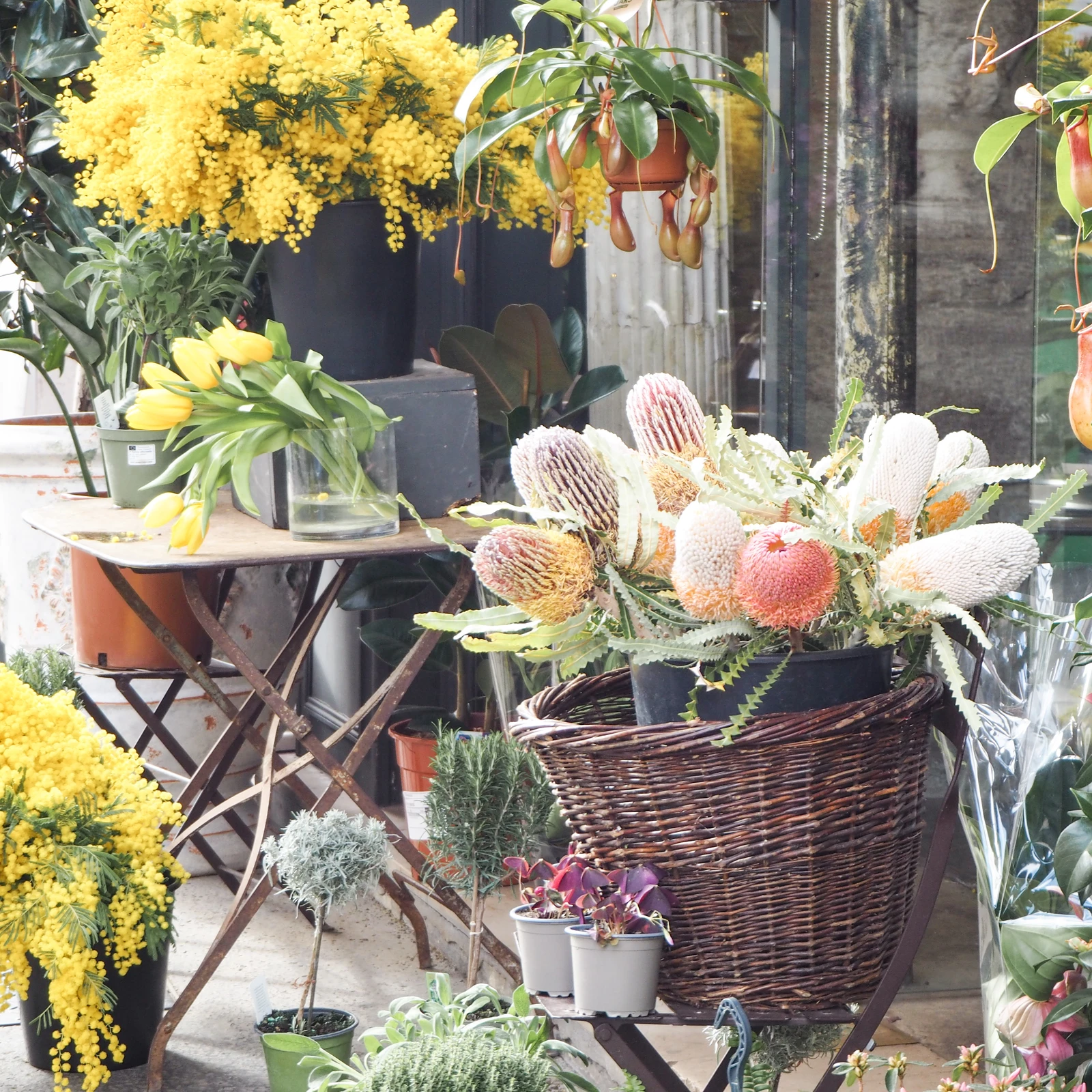 アートな世界観のあるパリのお花屋さんmuse Fumixparisが投稿したフォトブック Lemon8