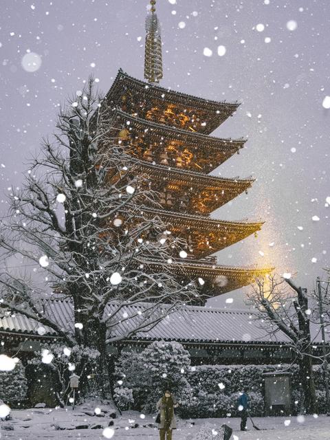 2022.1.6 東京に大雪警報が出ました 浅草ver