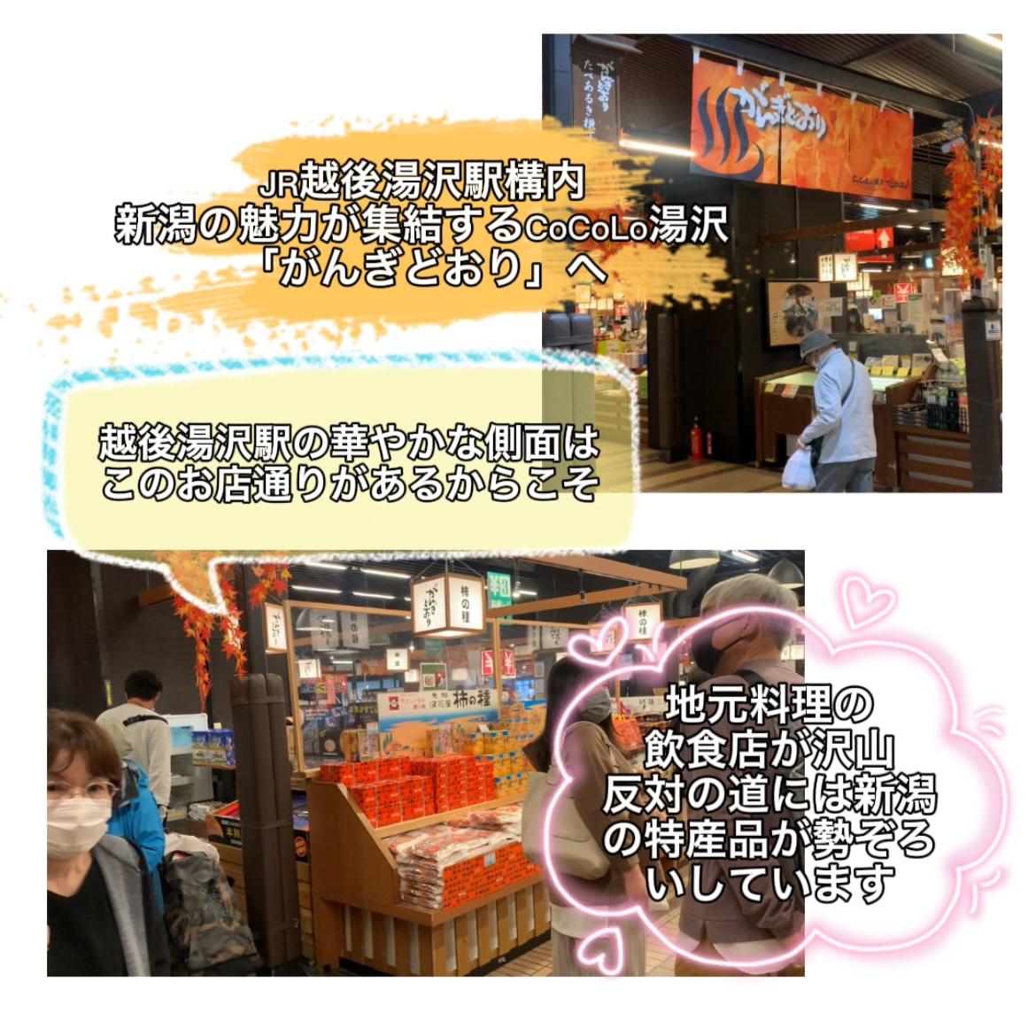 屋台がある駅 越後湯沢駅 楽しい旅行情報を紹介 が投稿したフォトブック Lemon8