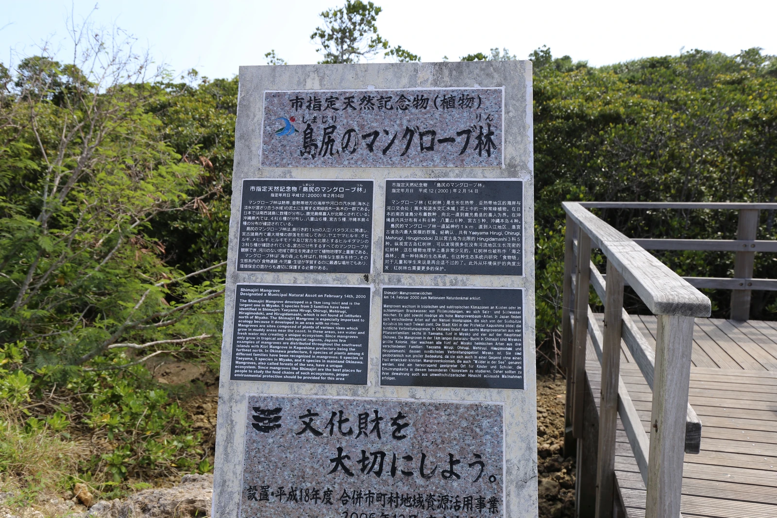 宮古島 天然記念物 植物 島尻のマングローブ林を散策 あろはれいんぼーが投稿したフォトブック Lemon8