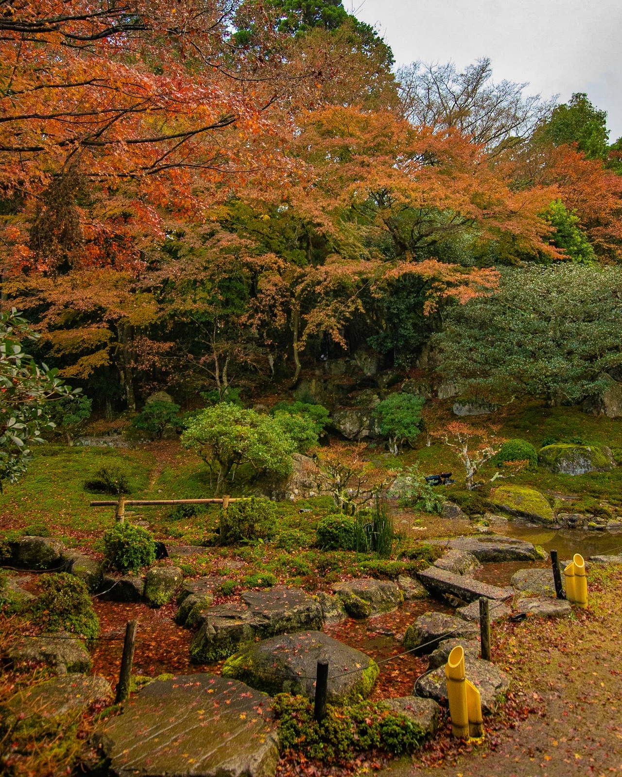 滋賀の瑠璃光院 穴場紅葉スポット 机のリフレクションが美しい 滋賀県 旧竹林院 Jptravelerspicが投稿したフォトブック Lemon8